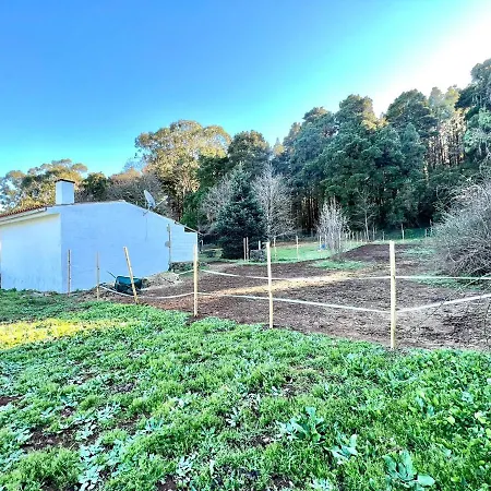 펜션 Finca Para Eventos,jardin,barbacoa En Las Laguneta