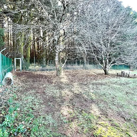 펜션 Finca Para Eventos,jardin,barbacoa En Las Laguneta La Esperanza (Tenerife)