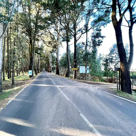 Finca Para Eventos,jardin,barbacoa En Las Laguneta