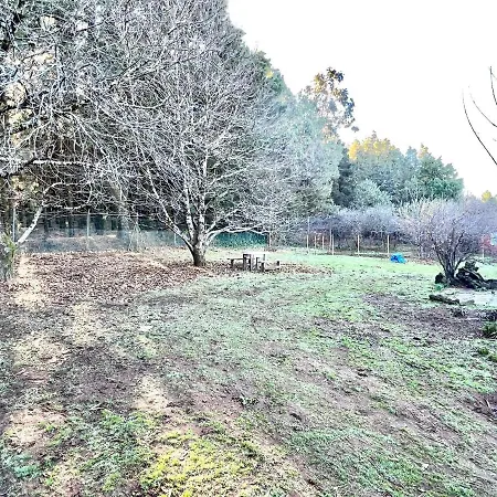 Prázdninový dům Finca Para Eventos,jardin,barbacoa En Las Laguneta
